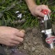 Bulb Planter